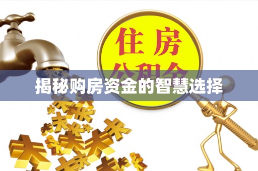川汇揭秘购房资金的智慧选择