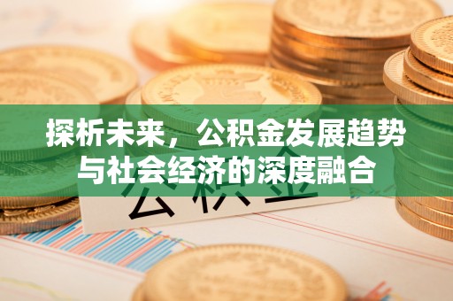 川汇探析未来，公积金发展趋势与社会经济的深度融合