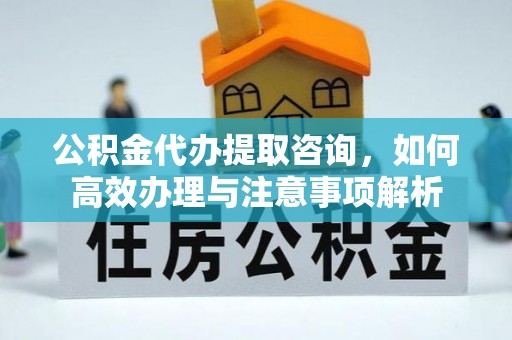 川汇公积金代办提取咨询，如何高效办理与注意事项解析