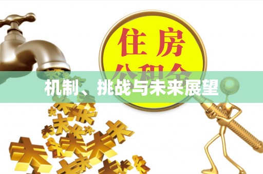 川汇机制、挑战与未来展望